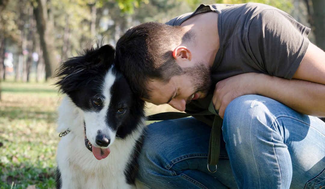 The 11 Qualities of a Responsible Dog Owner