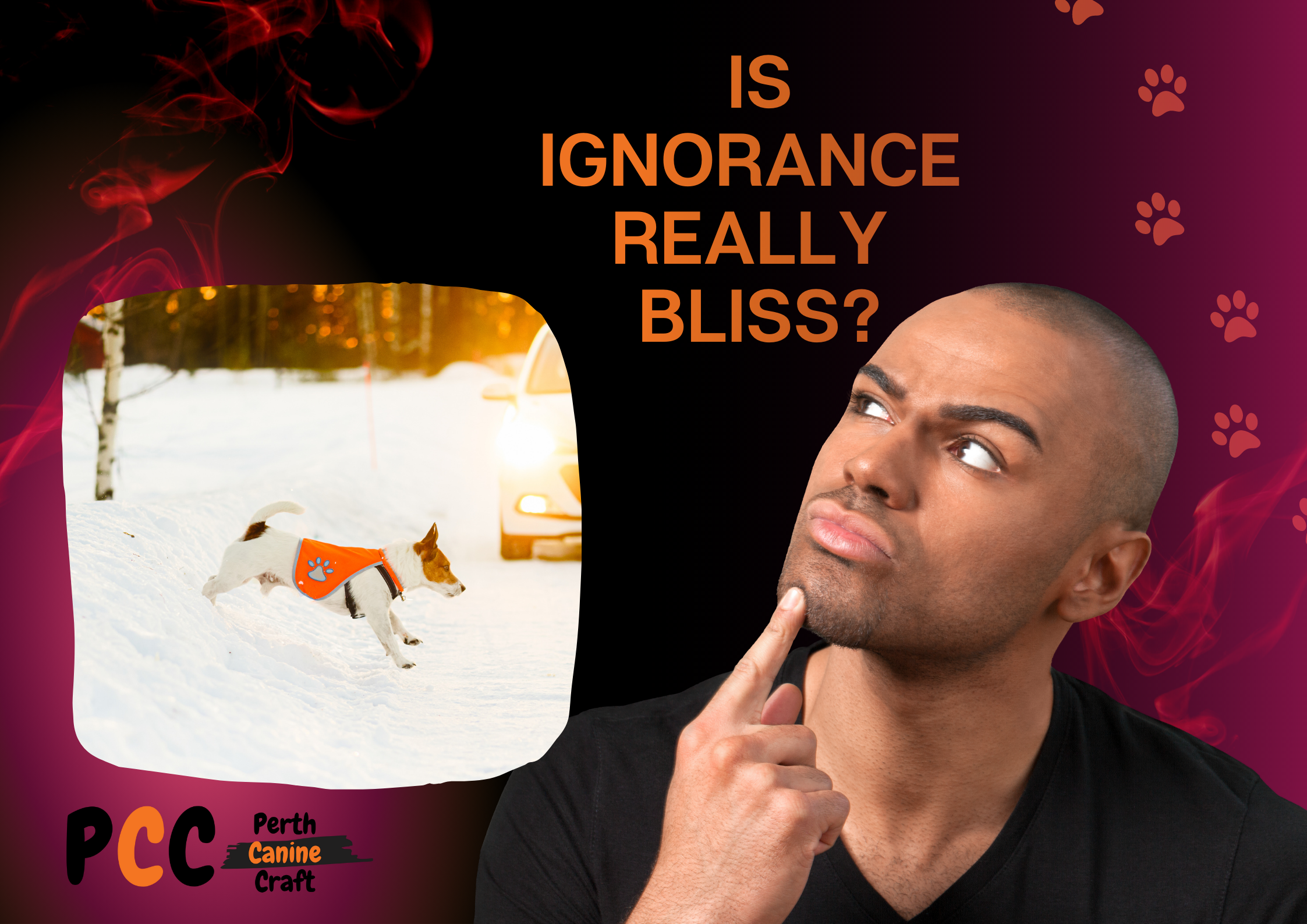 A man wondering if ignorance is really bliss with what we don't know about the dog industry