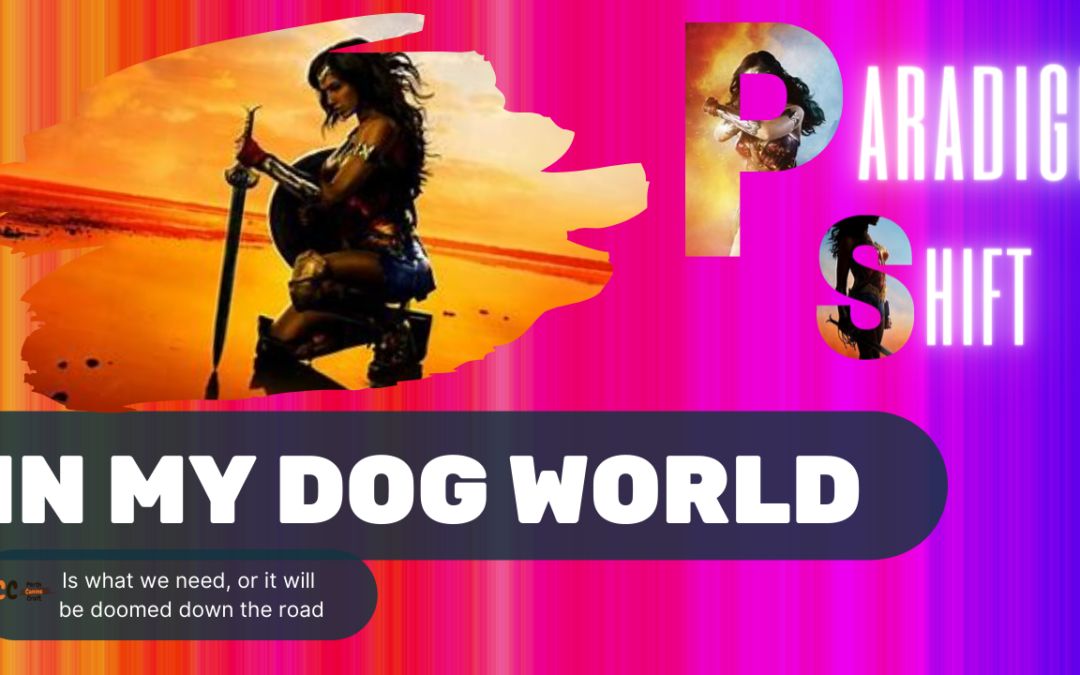 Paradigm Shifts in my dog world