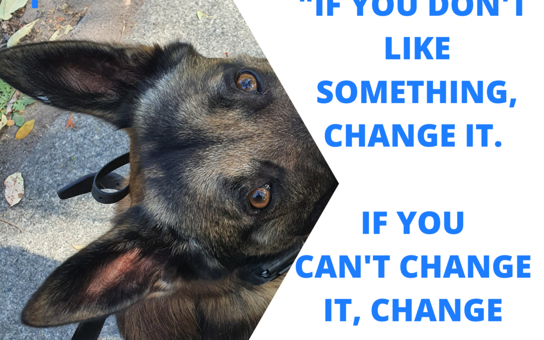 “If you don’t like something, change it. If you can’t change it, change your attitude”