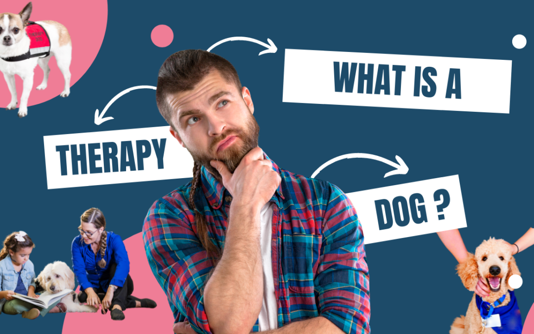 What is a Therapy Dog?