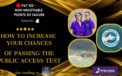 Preparing for the PAT: Tips for Success with Your Assistance Dog