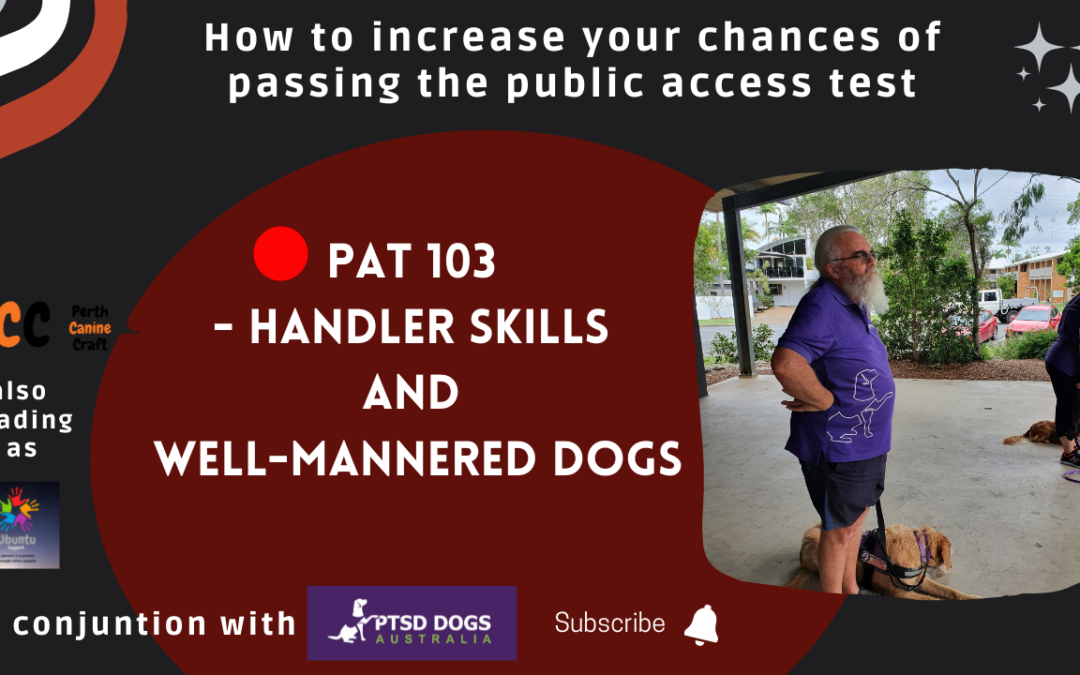 Dog Training: Understanding Well-Mannered Behavior and PAT Preparation