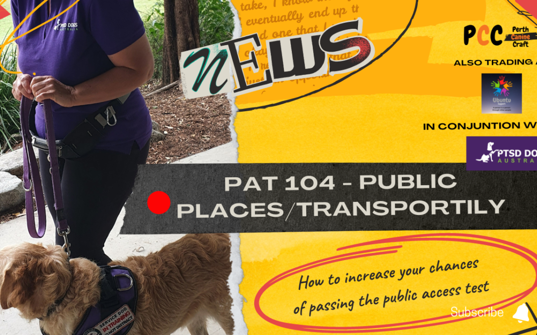 Preparing for the PAT: Public Places & Transport