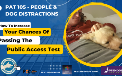 PAT 105 – People & Dog Distractions