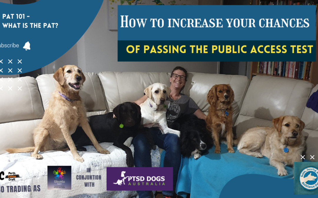 PAT 101 – What is the PAT?