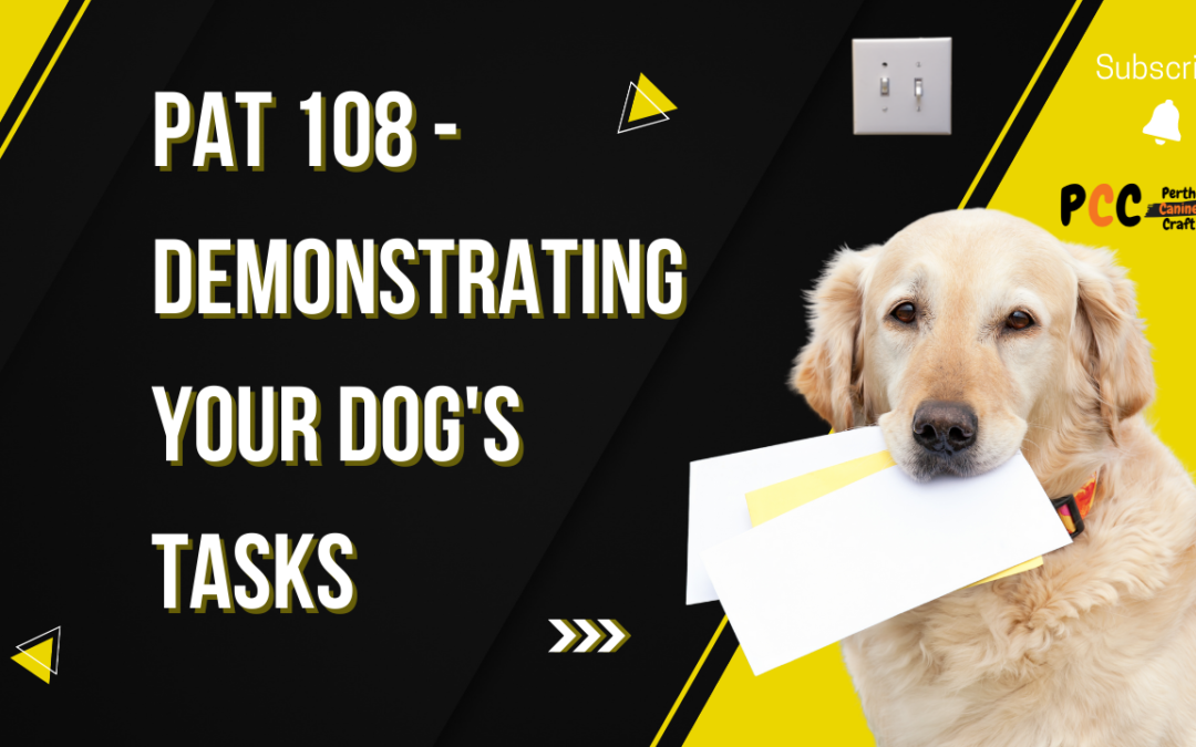 PAT 108 – Demonstrating your dog’s tasks