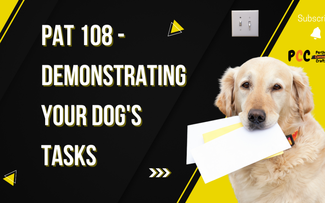 Dog Training: Demonstrating Your Dog’s Tasks – A Guide