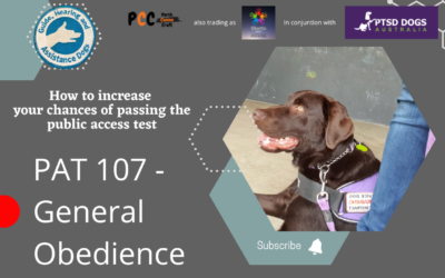 PAT 107 – General obedience