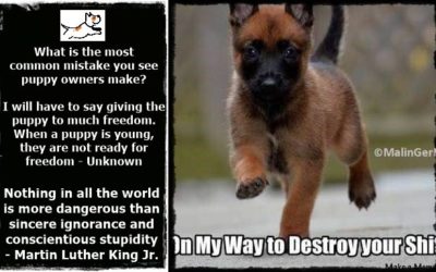 Prevention is better than cure, but denial that it will be our problem is our ultimate downfall in the end!