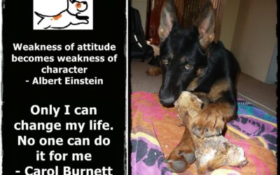 Finding Help in Tough Times: Overcoming Depression, Anxiety, and Bullying