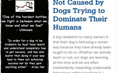 The Biology of Selfish and Selfless Chemicals in Leadership