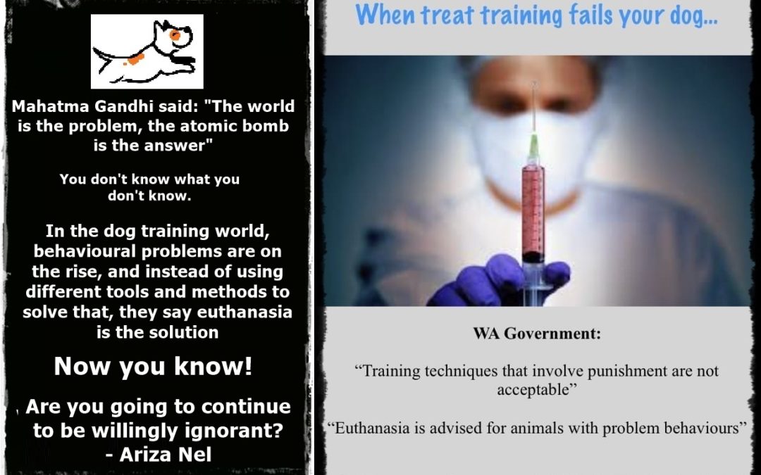 The Impact of Closed-Mindedness in Dog Training