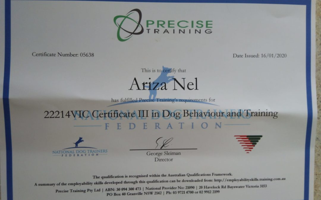 Becoming a Certified Dog Trainer in an Unregulated Industry