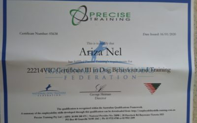 Becoming a Certified Dog Trainer in an Unregulated Industry
