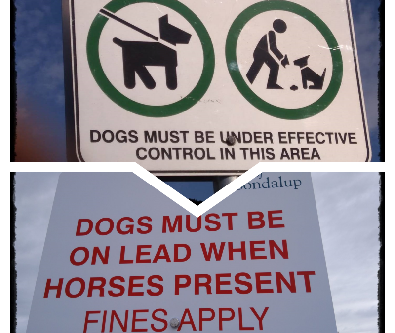 Plato – Good people do not need laws to tell them to act responsibly, while bad people will find a way around the laws.