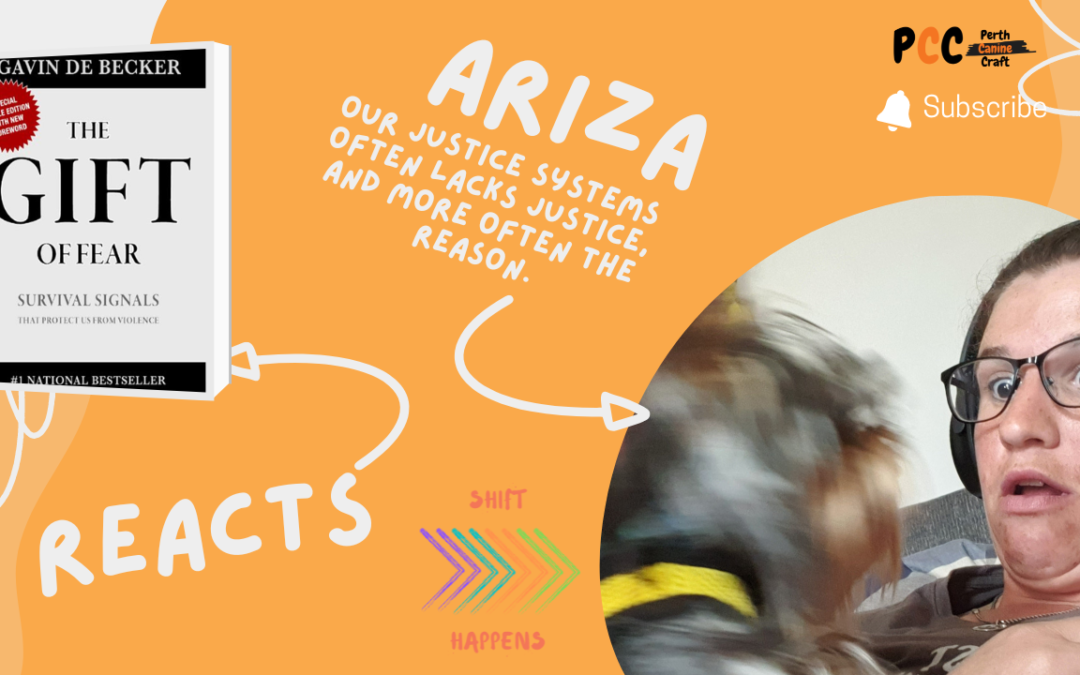 Our justice systems often lacks justice, and more often reason.