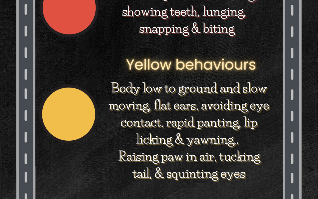 Identifying Red Flags in Your Dog’s Behavior