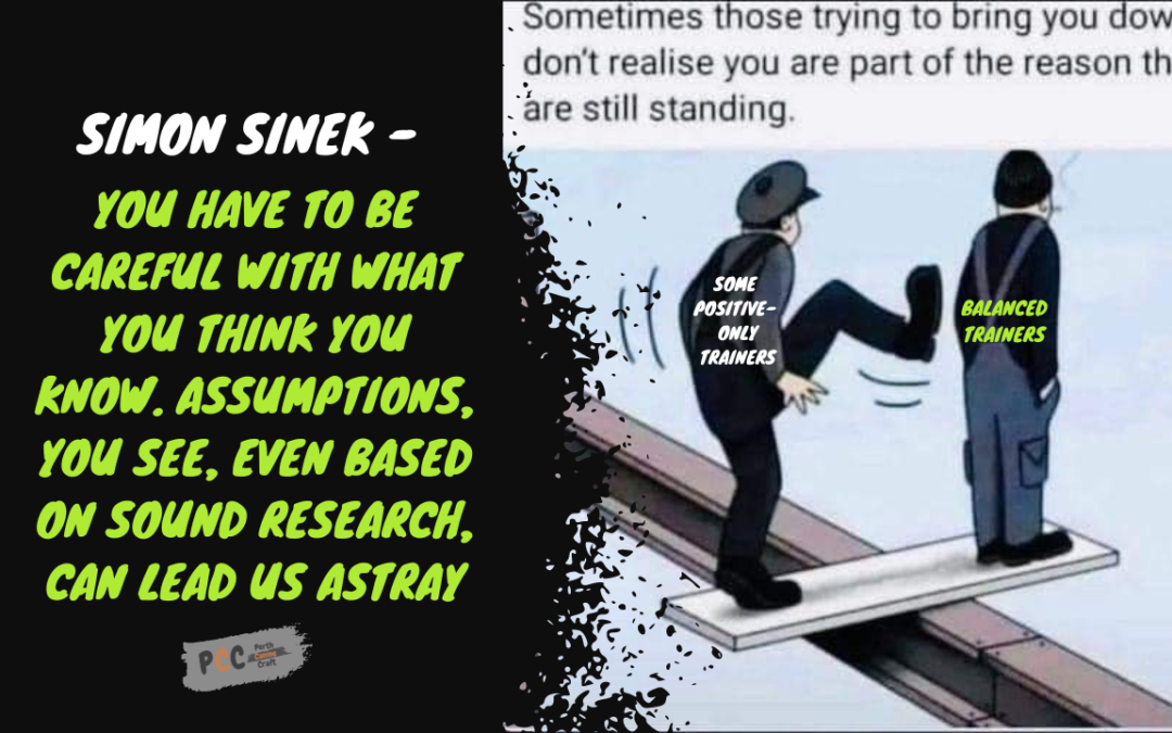 Simon Sinek – You have to be careful with what you think you know. You see, even based on sound research, assumptions can lead us astray.