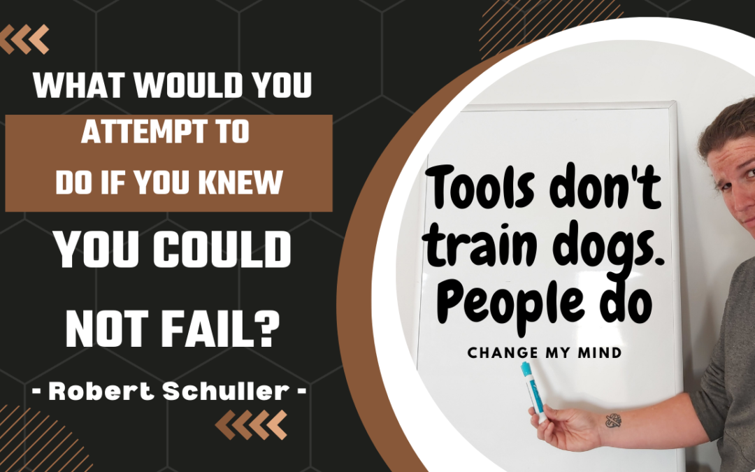 “What would you attempt to do if you knew you could not fail?”- Robert Schuller