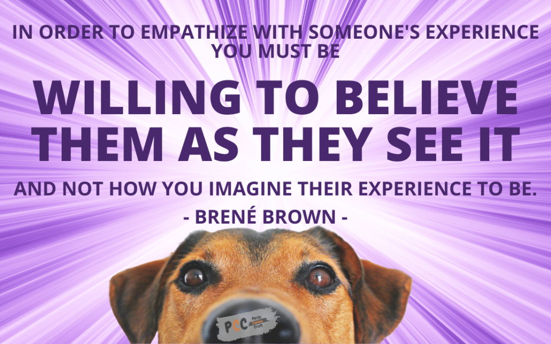 In order to empathize with someone’s experience you must be willing to believe them as they see it and not how you imagine their experience to be. – Brené Brown