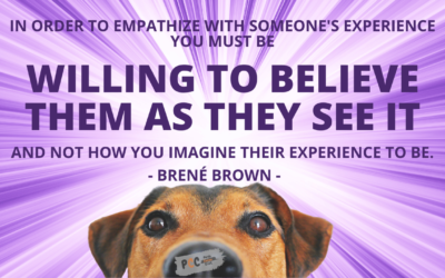 In order to empathize with someone’s experience you must be willing to believe them as they see it and not how you imagine their experience to be. – Brené Brown