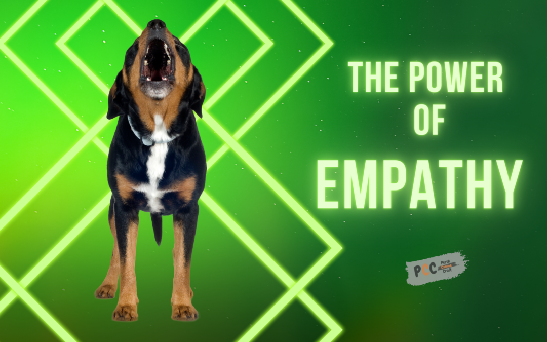 The power of empathy