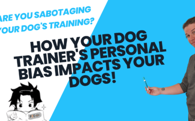 Are You Sabotaging Your Dog’s Training? How Your Dog Trainer’s Personal Bias Impacts Your Dogs!