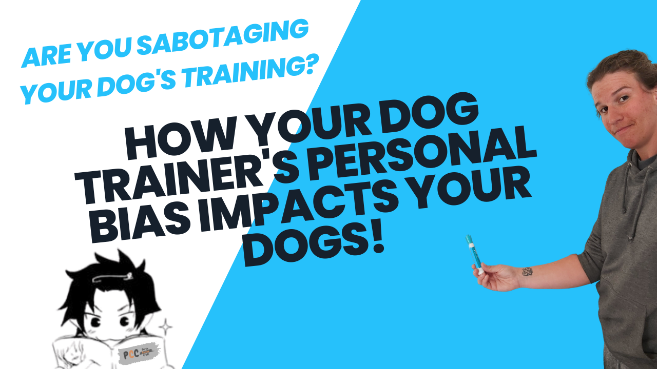 Are You Sabotaging Your Dog's Training?