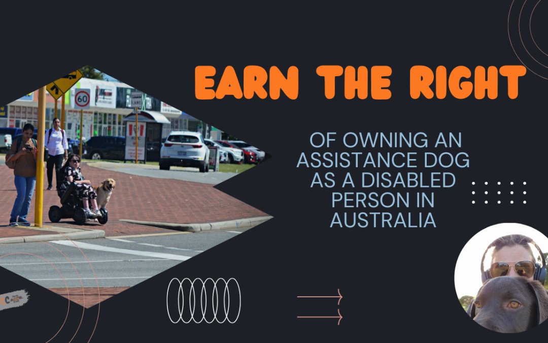 The Ups and Downs of Owning an Assistance Dog in Australia