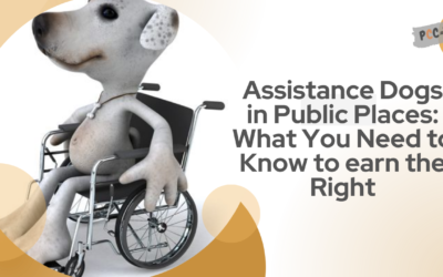 Assistance Dogs in Public Places: What You Need to Know to earn the Right