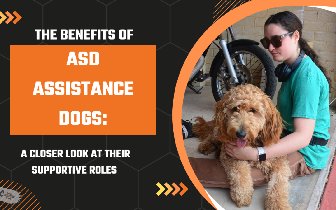 The Benefits of ASD Assistance Dogs: A Closer Look at Their Supportive Roles