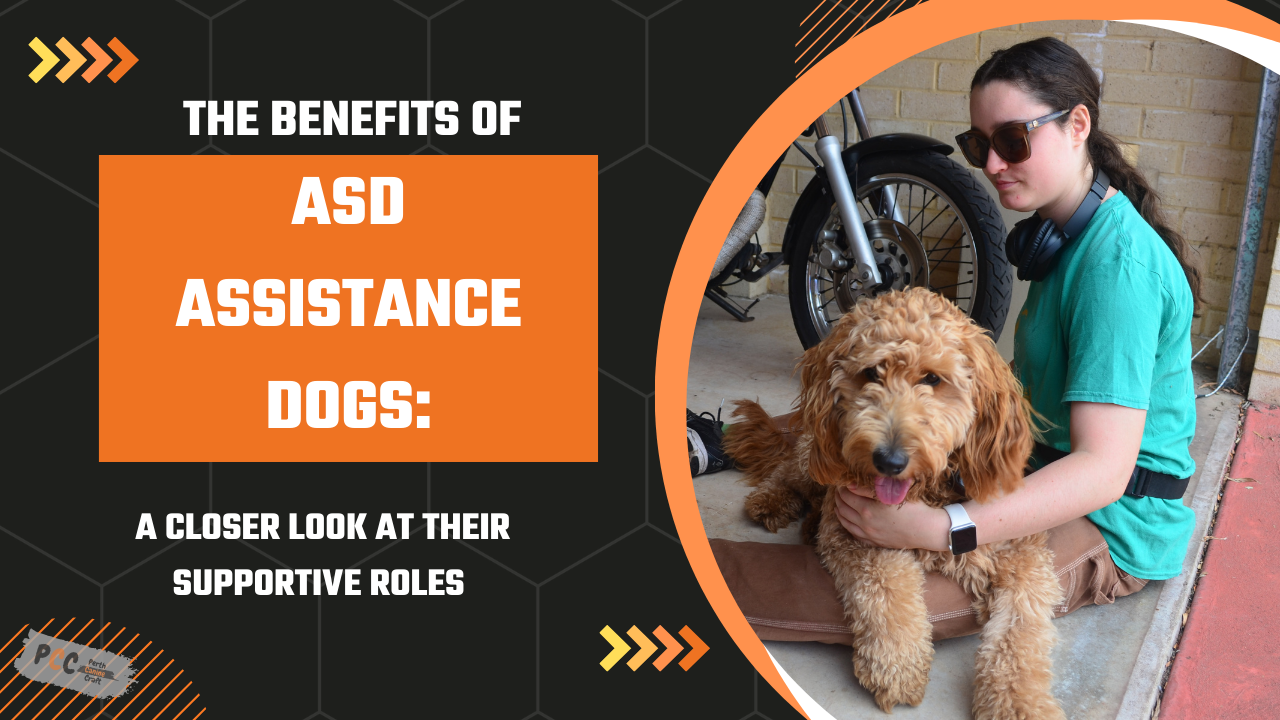 The Benefits of ASD Assistance Dogs: A Closer Look at Their Supportive Roles