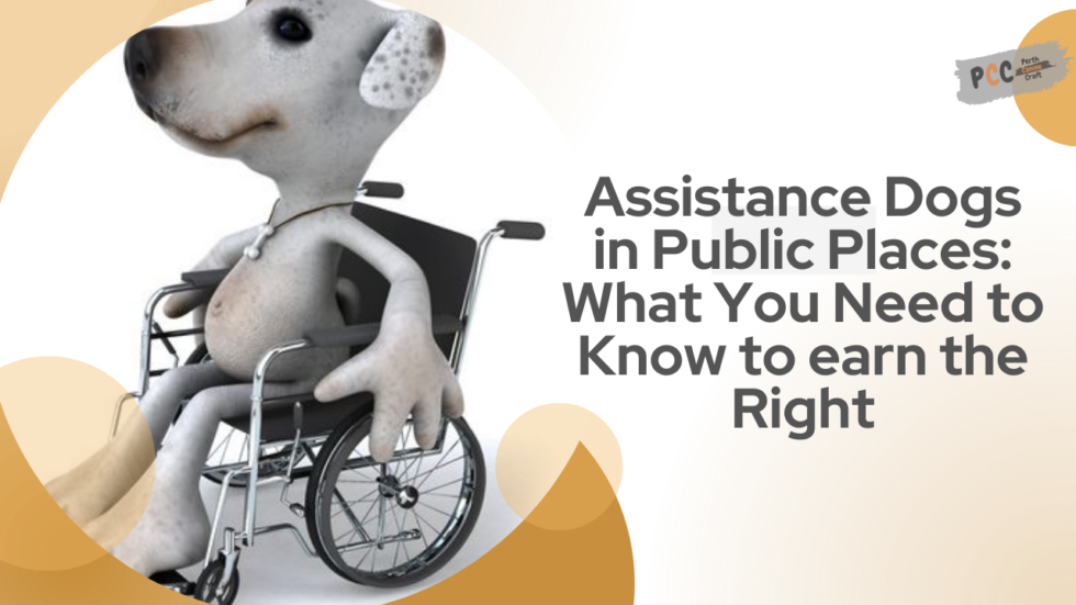 Assistance Dogs in Public Places What You Need to Know to earn the Right Perth Canine Craft