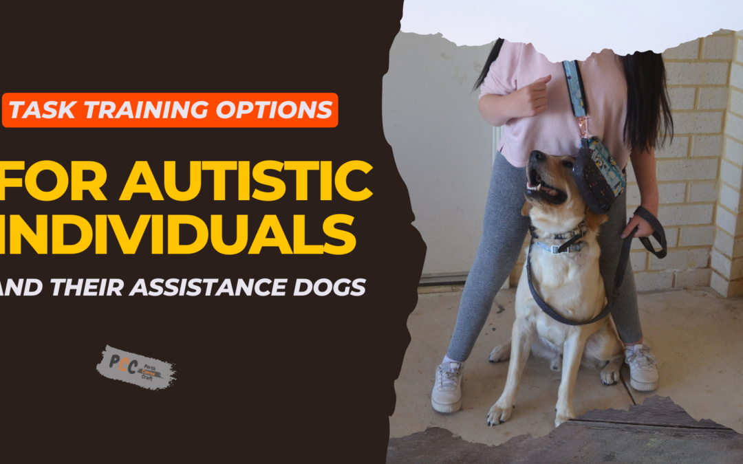Task Training Options for Autistic Individuals and Their Assistance Dogs
