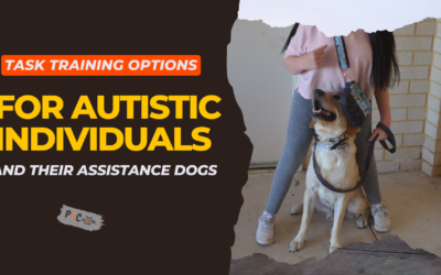 Task Training Options for Autistic Individuals and Their Assistance Dogs