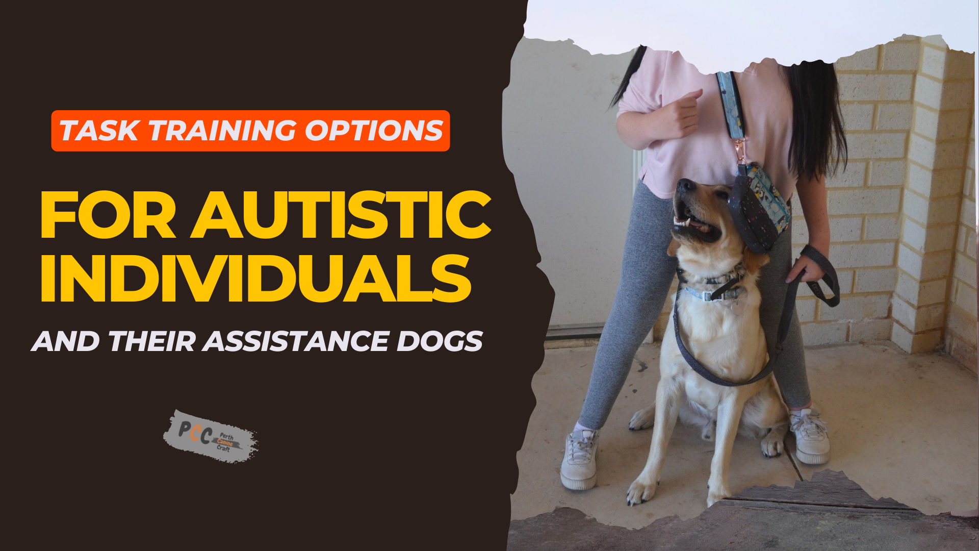 Task Training Options for Autistic Individuals and Their Assistance Dogs