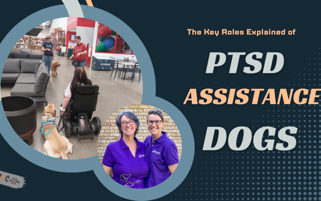 The Life-Changing Support of PTSD Assistance Dogs: Their Key Roles Explained