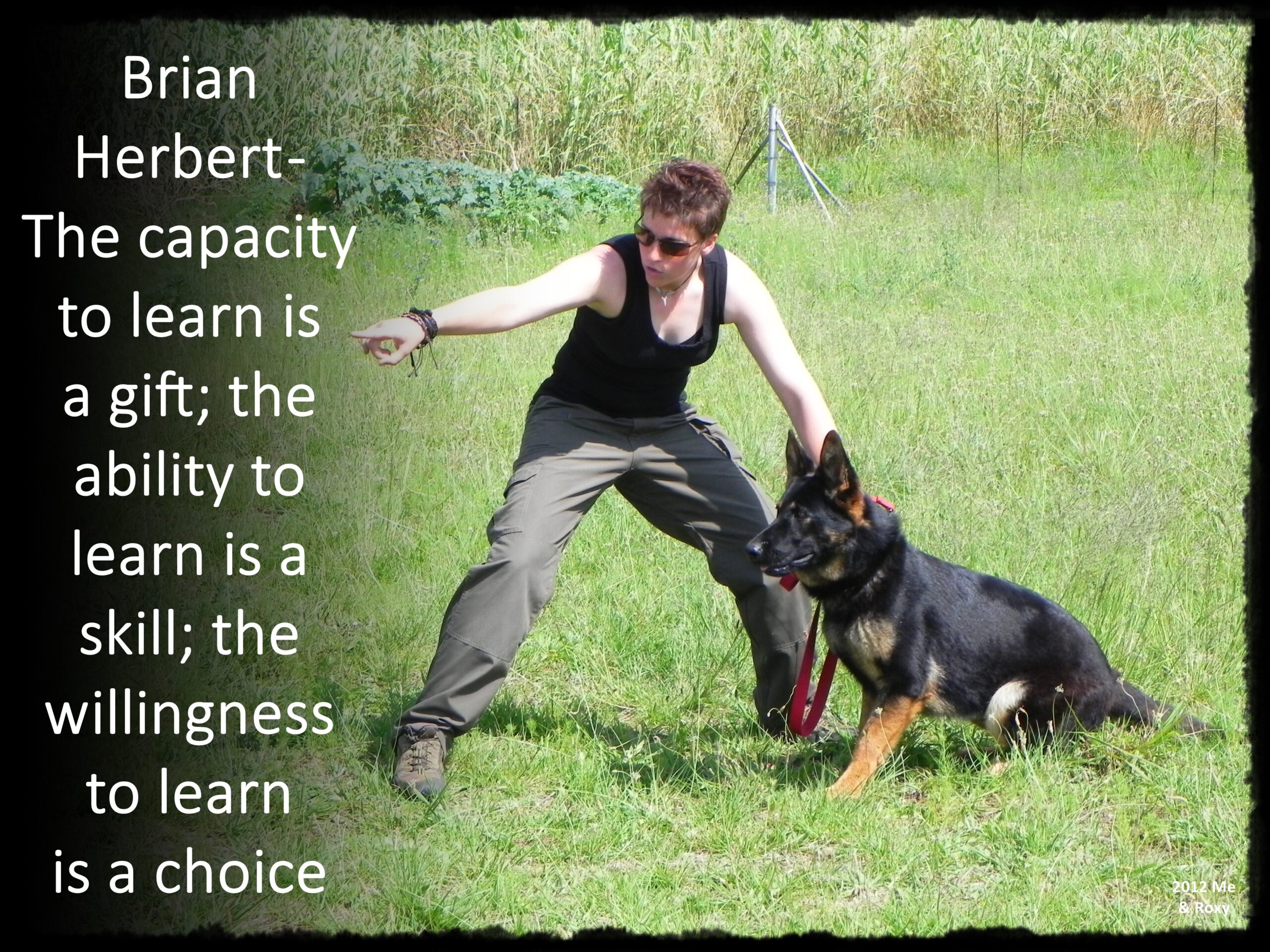 Unleashing the Power of Learning: A Gift, a Skill, a Choice