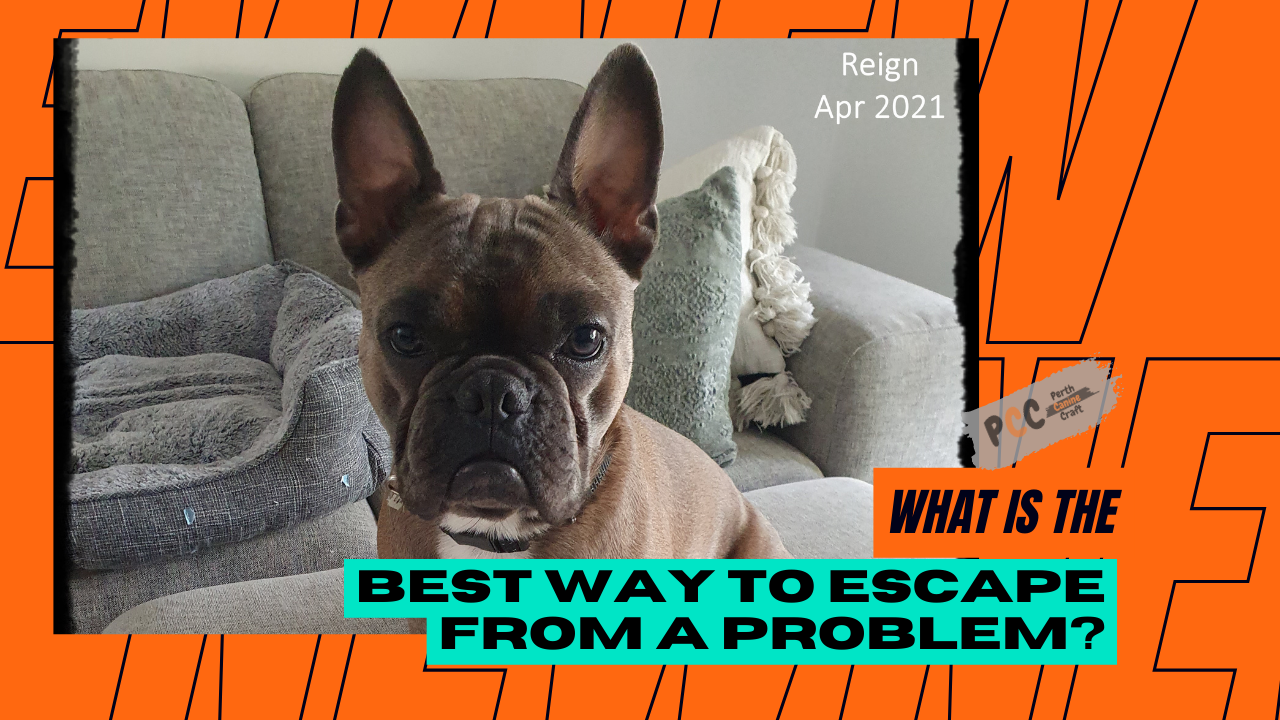 Facing Challenges Head-On: Solving Problems Instead of Escaping Them