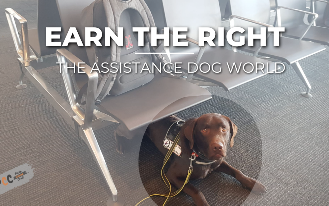 Earning the Right to an Assistance Dog: The Impact on Australian Airport Experiences