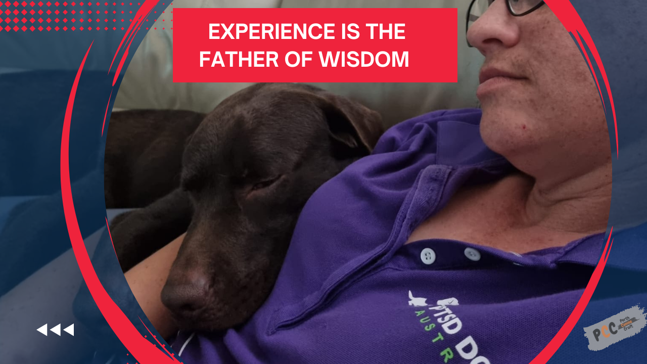 experience is the father of wisdom