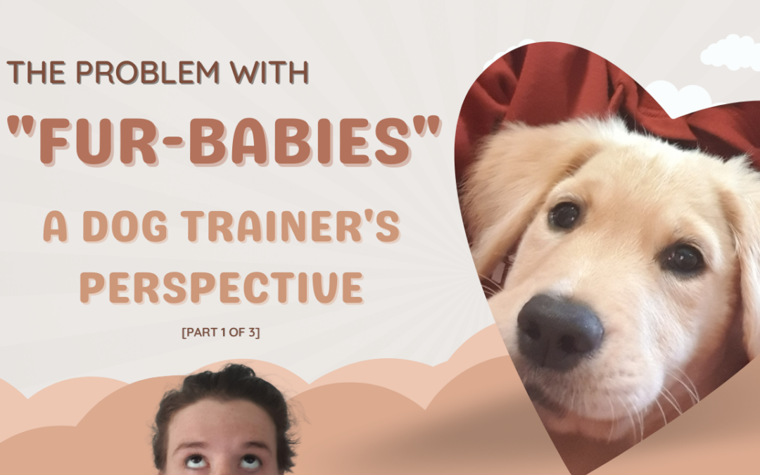 Decoding “Fur-Babies”: Insights from a Dog Trainer [Part 1 of 3]
