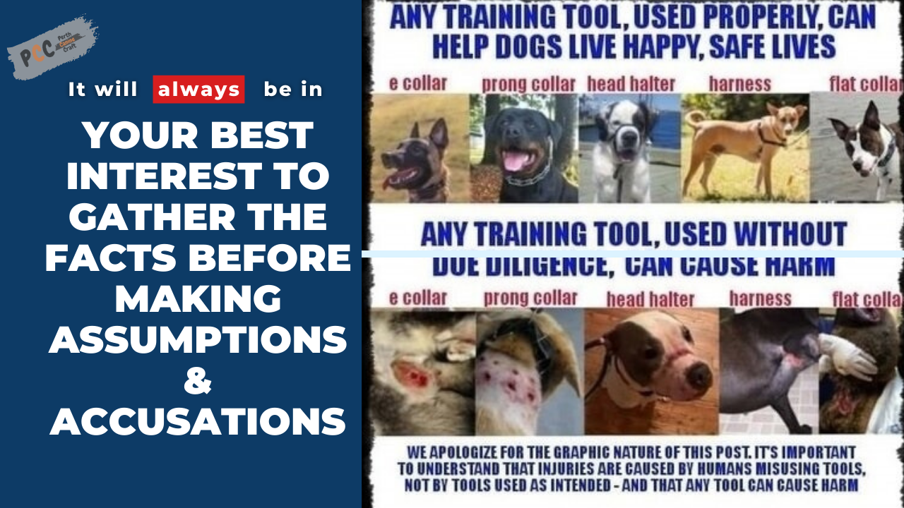 Shocking Truth About Dog Cruelty Exposed! Are You Making These Common Mistakes?