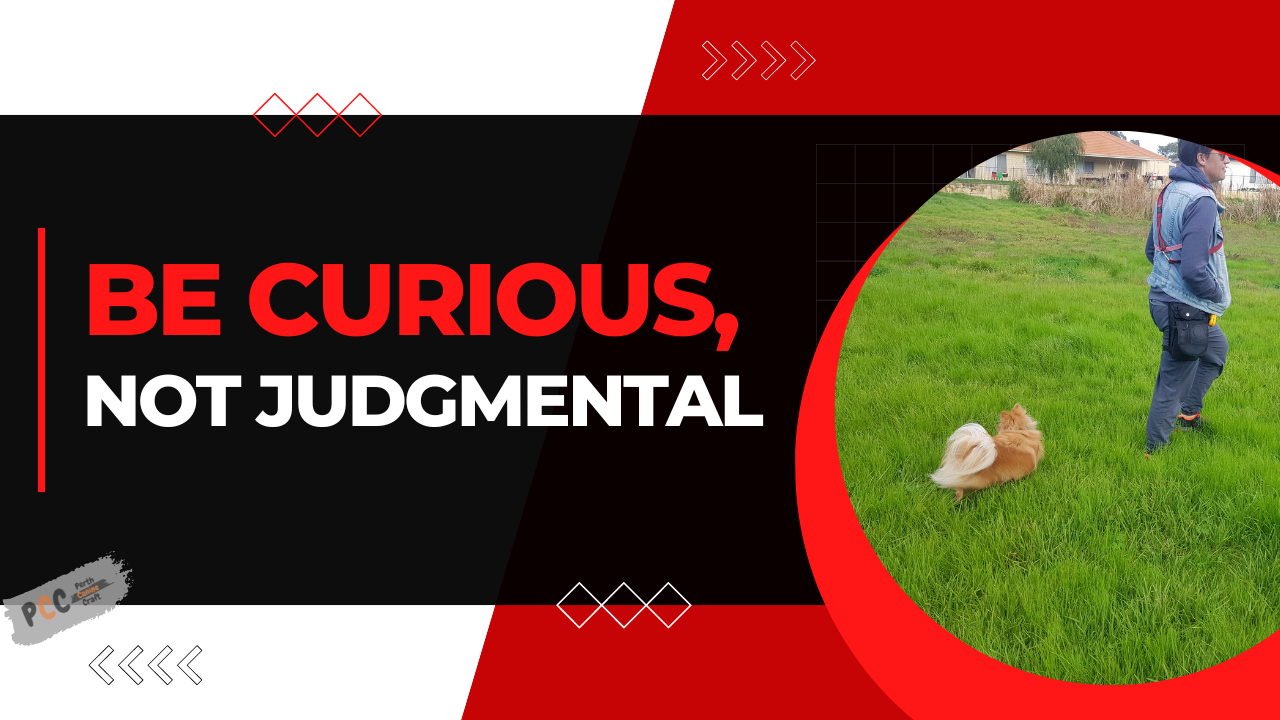 Be curious, not judgmental.