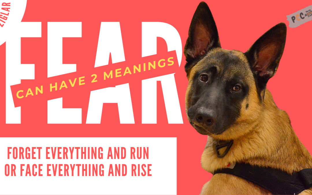 Zig Ziglar – F.E.A.R can have two meanings: Forget Everything And Run or Face Everything And Rise