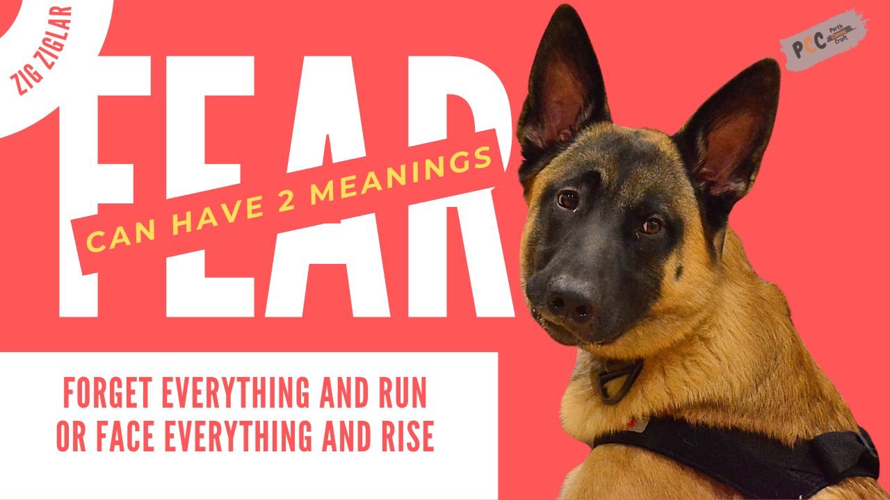 Zig Ziglar - F.E.A.R can have two meanings: Forget Everything And Run or Face Everything And Rise