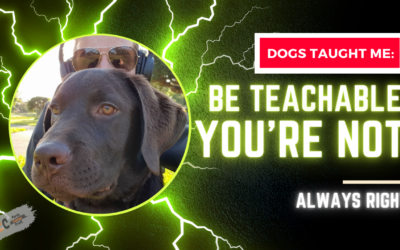 Life Lessons from Dogs: Embracing Teachability