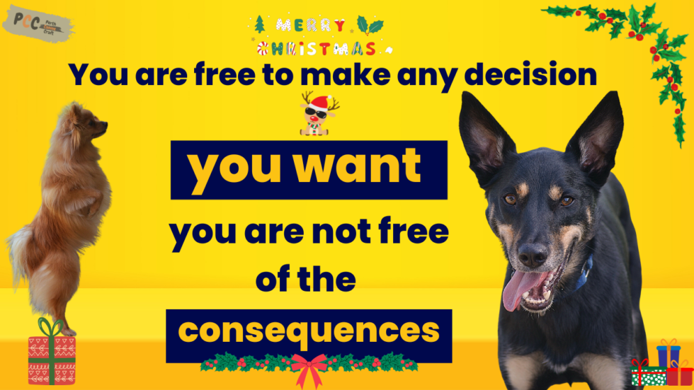 Owning a Dog Unveiling the Unavoidable Responsibilities! A MustRead