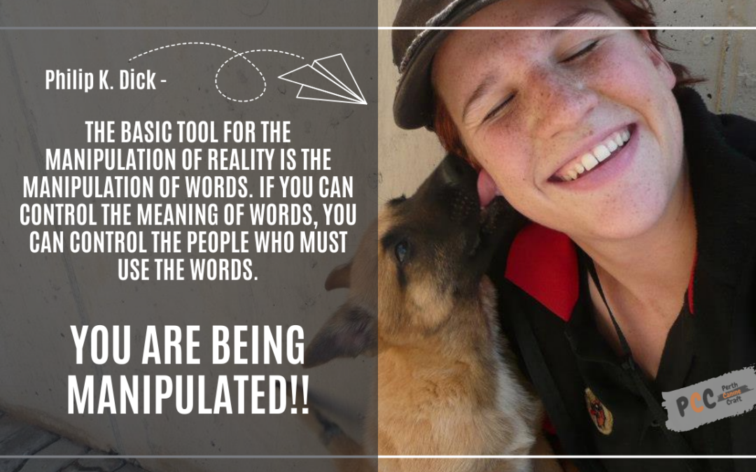 Unleashing Evolution: The Emotional Journey of Dog Training Methods